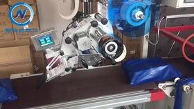 纳维亚实机演示爆料视频,游戏画面与玩法深度解析  第1张