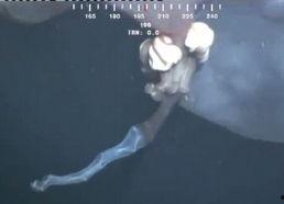 妖怪最新爆料视频大全在线观看,神秘世界一网打尽  第1张