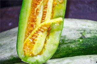 网红吃瓜王,揭秘娱乐圈幕后真相 第3张 网红吃瓜王,揭秘娱乐圈幕后真相 第3张