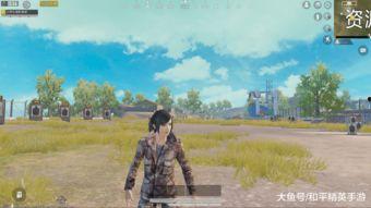 最新和平精英新军需爆料,神秘军装等你解锁！  第2张