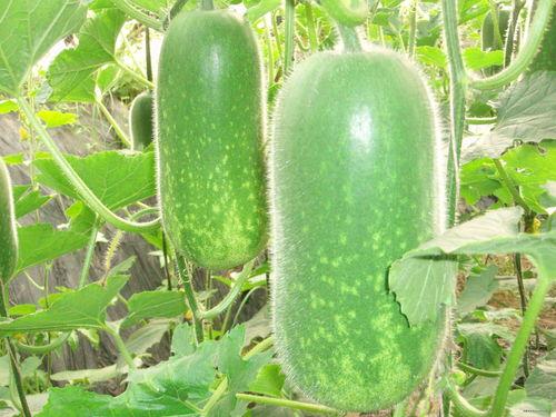 娱乐吃瓜壁纸高清竖屏,一网打尽娱乐圈新鲜事 第2张 娱乐吃瓜壁纸高清竖屏,一网打尽娱乐圈新鲜事 第2张